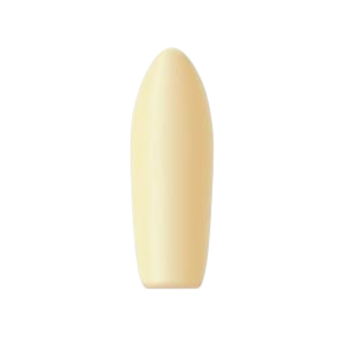 Suppository